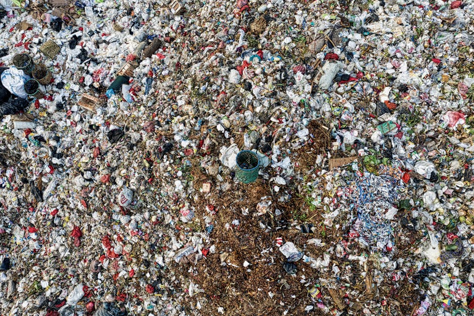 What to know about access problems for Edmonton rubbish crews